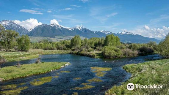 Montana Angler