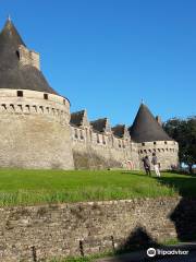 Castillo de los Duques de Rohan