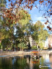 Jardín del Salitre