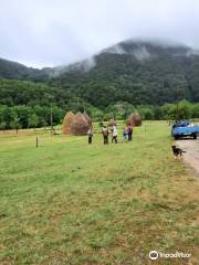 Nationalpark Cheile Nerei-Beușnița