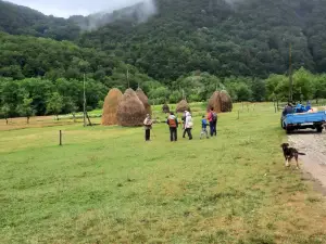 Parque nacional Cheile Nerei-Beuşniţa