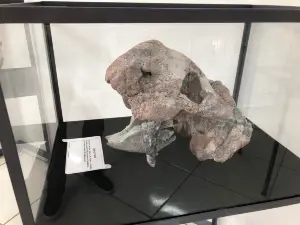 Museum Daniel Cargnin