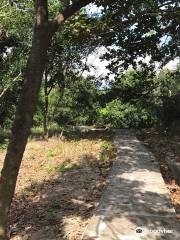 Hainan Tropical Crop Research Institute