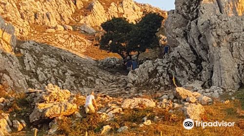 Rocche del Crasto