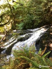 Ludlow Falls Interpretive Trail