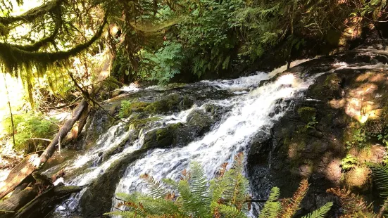 Ludlow Falls Interpretive Trail