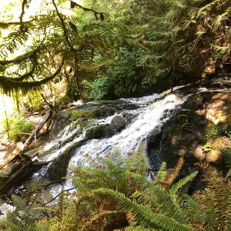 Các khách sạn ở Port Ludlow