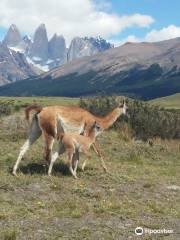 Agencia de Transporte y Turismo Fin del Mundo