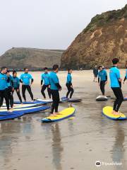 Island Surfboards & Surf School