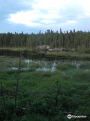 Chapleau Crown Game Preserve