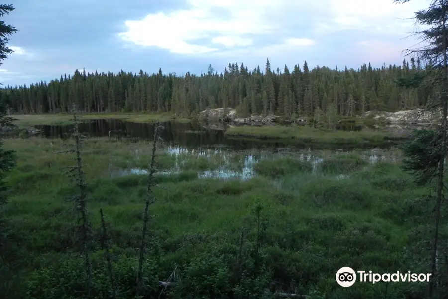 Chapleau Crown Game Preserve