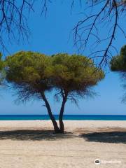 Spiaggia Su Barone