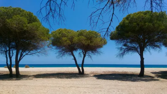 Spiaggia Su Barone