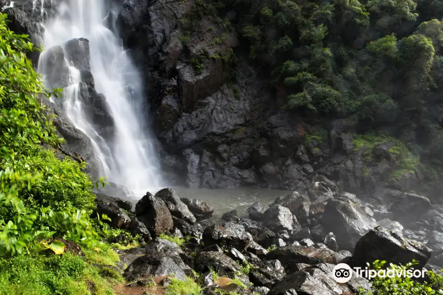 Ellenborough Falls