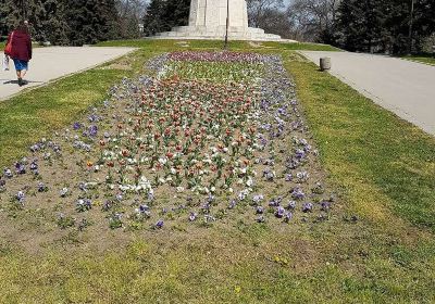 Sea Garden