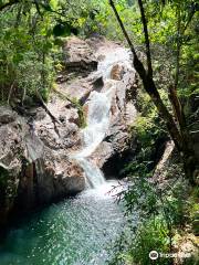 Finch Hatton Gorge