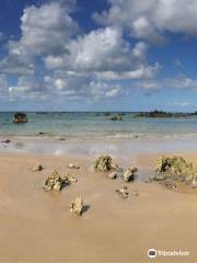 Playa de Trengandín