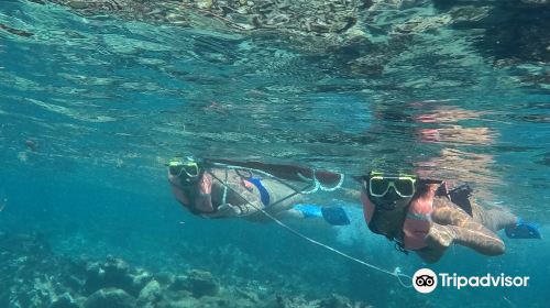 Zona de Snorkel Mahahual