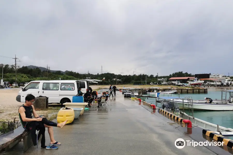 Piranha Divers Okinawa