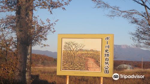 Pogawa Historical Place Forest Park