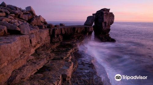 Jurassic Coast