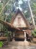 Agrotourism in Ubud