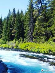 Metolius River