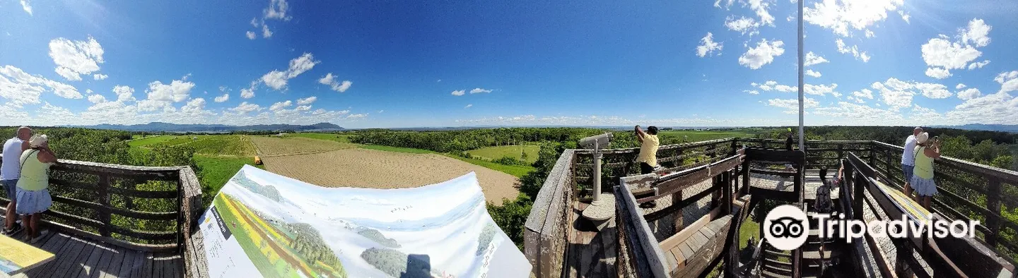 5_The Observation Tower