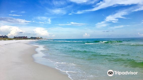 Henderson Beach State Park