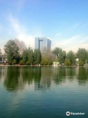 Bosque de Chapultepec