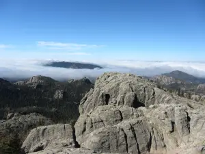 Black Hills National Forest