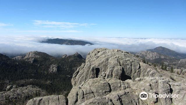 Black Hills National Forest