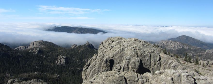 Black Hills National Forest