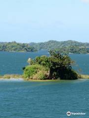 Gatun Lake