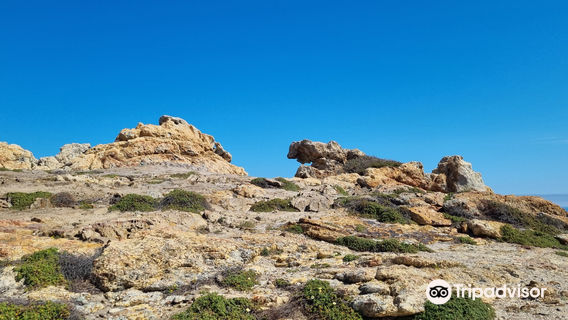Cap de Creus National Park