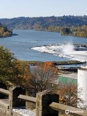 Willamette Falls