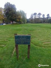 Saffron Walden Turf Maze