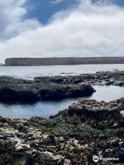 Arena-Stornetta - California Coastal National Monument