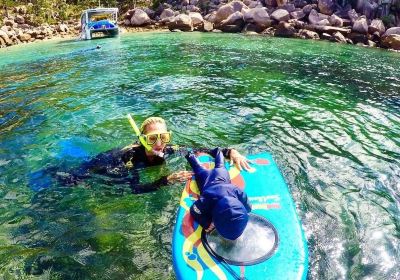 Aquascene Magnetic Island