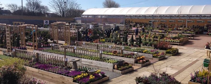The Plant Place