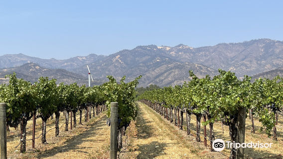 Welcome to Napa Valley Sign (South)