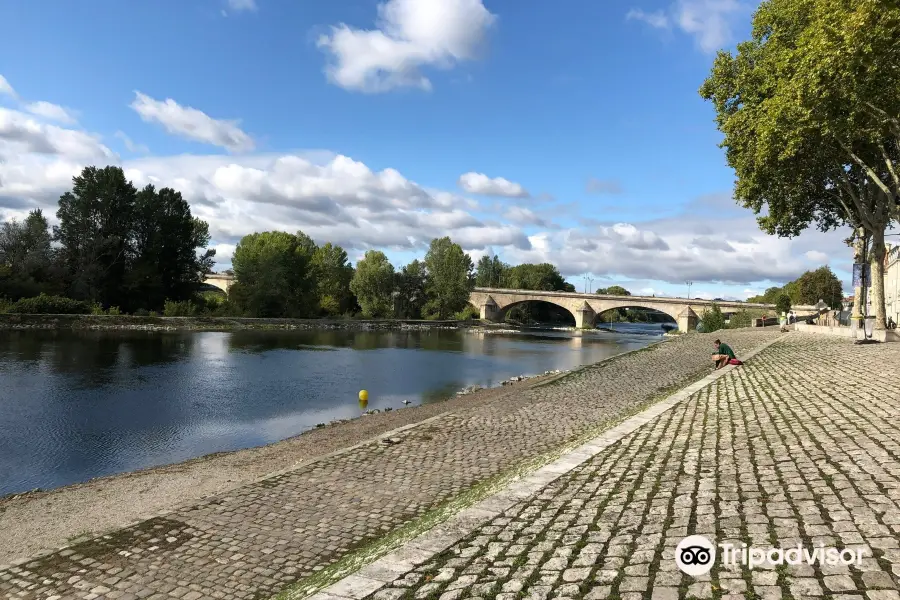 Bords de Loire