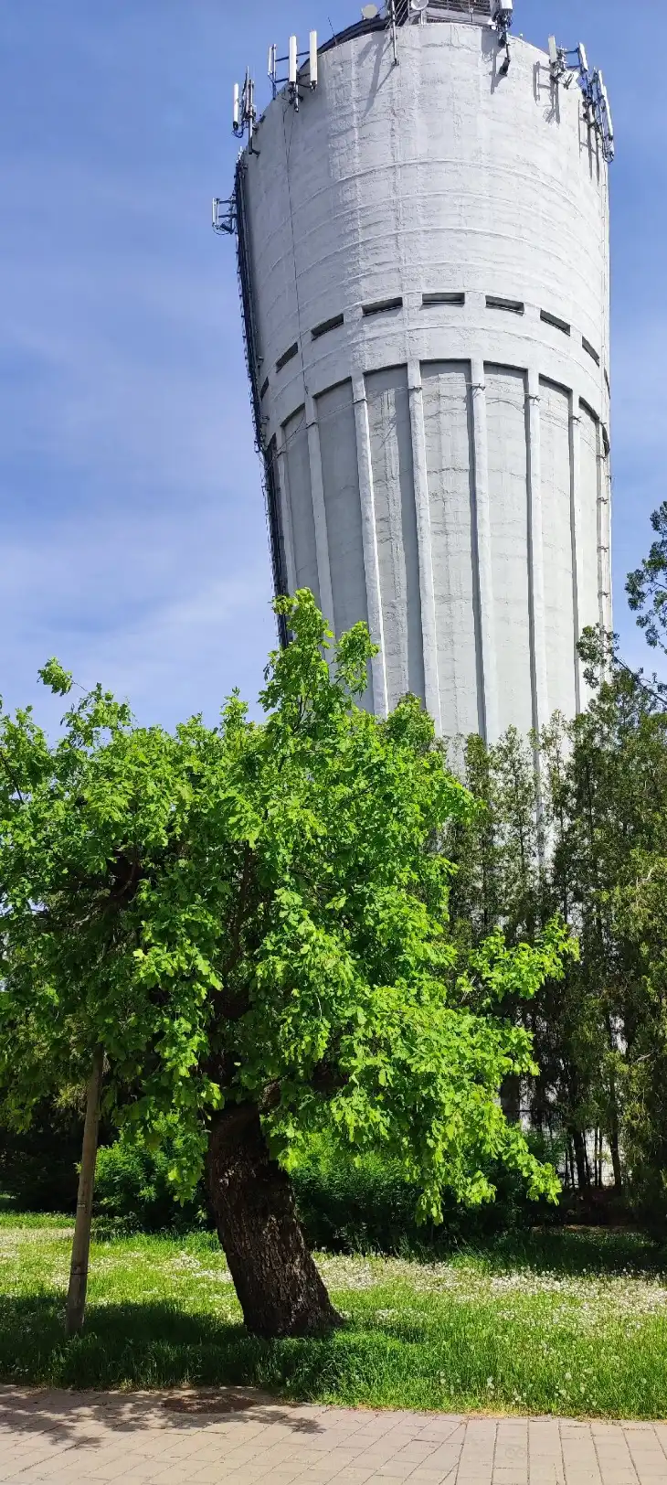 Gyulai