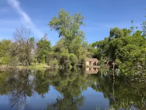 クリア・レイク州立公園