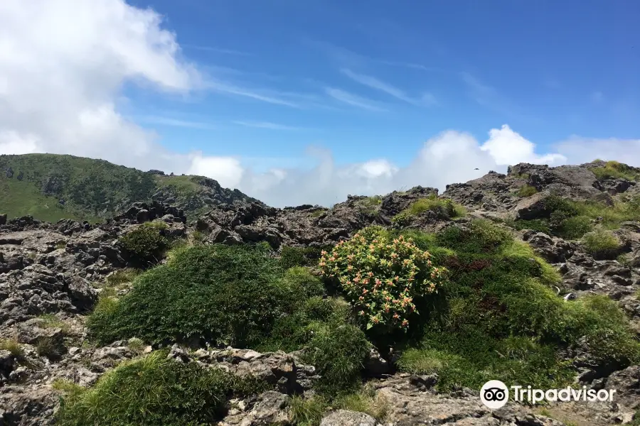 漢拿山城板岳