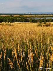 Cherry Creek State Park