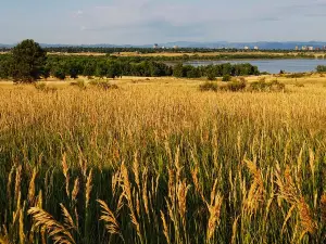 Cherry Creek State Park