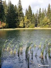 Vrbicke pleso