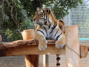 Ζωολογικός Κήπος Πάφου - Pafos Zoo