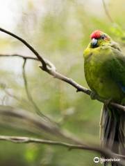 Rainbow Springs Nature Park